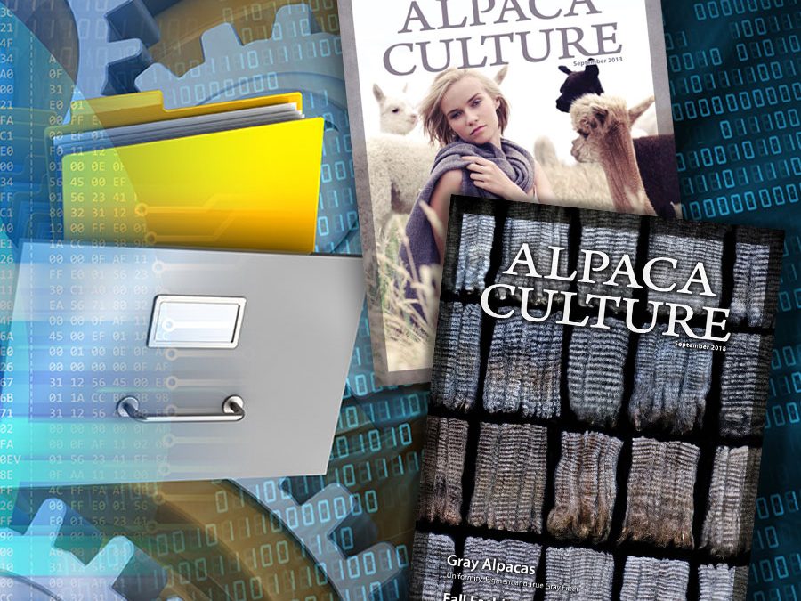 Tax advantage raising alpacas